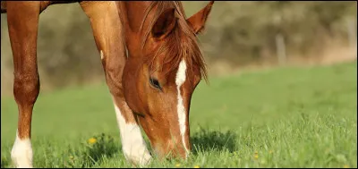 Que penses-tu de cette image ?