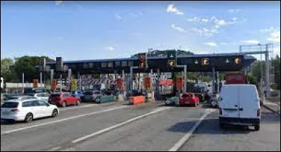 Quelle lettre faut-il enlever pour obtenir une feuille d'un livre ?