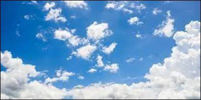 Quelle lettre faut-il remplacer pour obtenir le nectar des abeilles ?