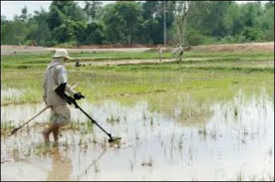 Le 19 mai 2004, combien d'enfants de la communauté Hmong ont été assassinés par l'armée laotienne ?