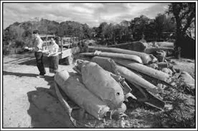 Aux côtés de quelle nation une partie de l'ethnie des Hmong a-t-elle combattu lors de la guerre du Vietnam ?