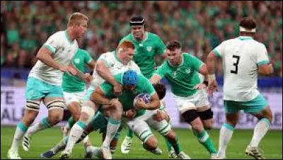 Quel a été le score d'Irlande - Afrique du Sud ?