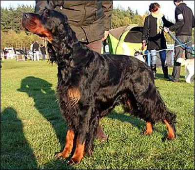 Qui se déchaîne pour Sergio Grieco en 1966 ?