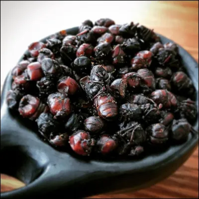 Les hormigas, c'est une spécialité de Colombie, des fourmis géantes grillées à la poêle rt servies à l'apéritif.