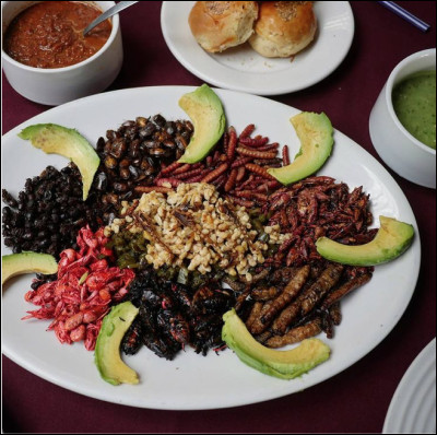Le tacos aux insectes, c'est une spécialité du Mexique.