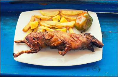 Le cuy, c' est est une spécialité du Pérou, un cochon d'Inde grillé