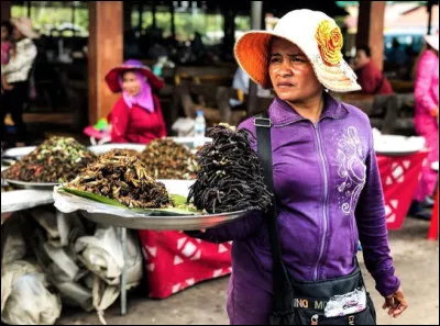 Les tarentules frites, c'est une spécialité du Cambodge.