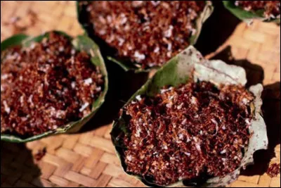 Le chapka, c' est une spécialité d'Inde, un mets à base de fourmis rouges séchées et de leurs oeufs, accompagné d'épices.