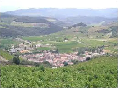 Village de l'aire d'attraction Perpignanaise, dans le Fenouillèdes, Rasiguères se situe dans le département ...