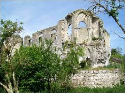Je vous emmène en Picardie découvrir les ruines du château de Thiers-sur-Thève. Village de l'aroondissement de Senlis, il se situe dans le département ...