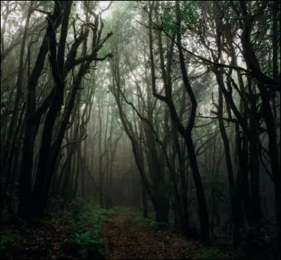 Tu reçois une vision, une vision sombre ; tu es dans un endroit que tu ne reconnais pas.
Tu comprends soudain son sens. 
On te demande si tu aimes les endroits sombres, les photos sombres, les images sombres...
Aimes-tu les choses sombres ou les photos sombres ?
PS : si tu mets ''oui j'adore ou oui'', tu peux certainement tomber sur une image sombre comme résultat, ça peut être ange comme diable, à toi de choisir...