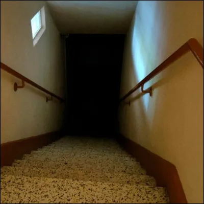 Tu rentres chez toi et descends au sous-sol, tes parents te l'ont toujours interdit mais tu veux connaître la raison et au moins, tu t'aventures un peu dans ta vie.
Tu aperçois plein de tableaux avec des gens de face, tu te dis qu'ils posent sur la photo ; mais toi, aimes-tu poser de face ?