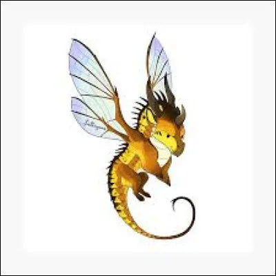 Que penses-tu des Ailes de Soie ?