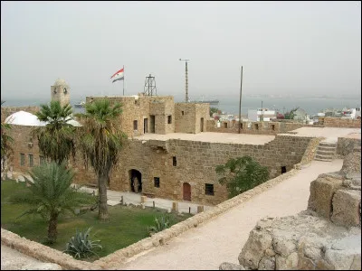 De Limassol, à Chypre, Jacques de Molay continuait de faire des appels à l'Occident pour obtenir l'envoi de troupes et d'équipements. En novembre 1301, le pape Boniface VIII accorda officiellement Arouad aux Templiers. Malgré cela, en 1302 ou 1303, les Mamelouks envoyèrent une flotte de 16 navires de l'Égypte à Tripoli à partir de laquelle ils assiégèrent l'île d'Arouad.
Que se passa-t-il ?