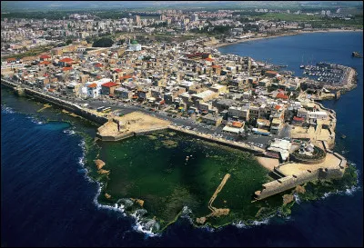 Henri II, roi de Chypre et de Jérusalem réussit à négocier en mars 1289 une trêve de dix ans avec Qala'ûn, mais celui-ci mourut en décembre 1290. Son fils Al-Ashraf Khalil entendit profiter du moindre prétexte pour reprendre les hostilités.
Une croisade de pèlerins non combattants arriva à Saint-Jean-d'Acre. Sans connaissance de la situation politique, de quoi accusèrent-ils les Latins d'Orient ?