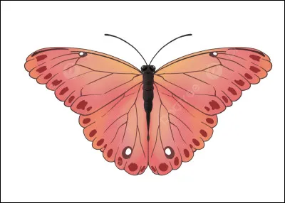 Quel est le titre de ce film ?