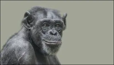 Quelle lettre faut-il remplacer pour obtenir de quoi s'asseoir ?