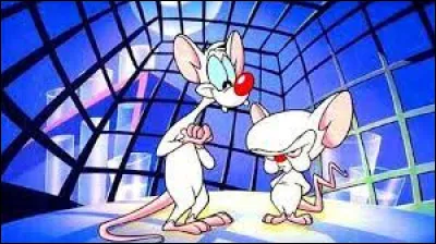 Qui accompagne Cortex dans la série animée ?