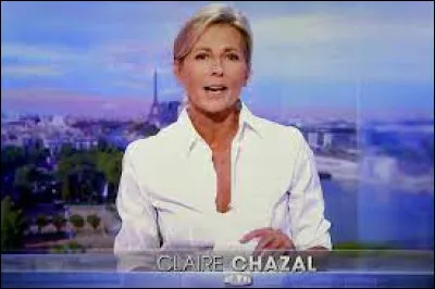 Quel groupe interprète la chanson ''Il est vraiment phénoménal'' dans laquelle est cité le journal de Claire Chazal ?