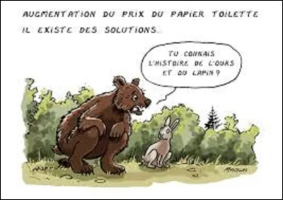 Dépassant trois mètres, quand il se lève sur ses deux pattes arrière, quelle est la race d'ours la plus grande au monde ?