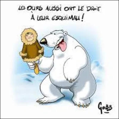 Quelle est la couleur de la peau de l'ours polaire ?