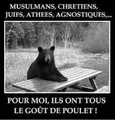 Comment dit-on "ours" en italien ?