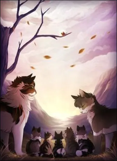 Quel adjectif te correspond le plus ?