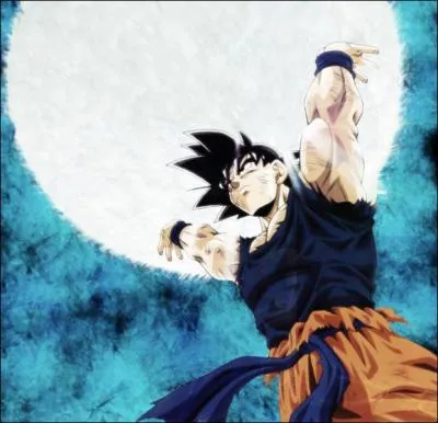 Quelle est cette technique (attaque ultime) ?