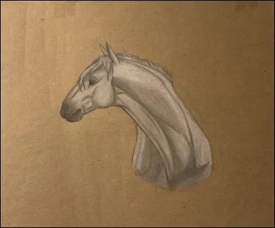 De quelle couleur est la robe de ce cheval ?