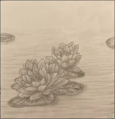 Comment appelle-t-on ces fleurs ?