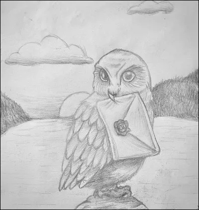 Vrai ou faux : 
La chouette dHarry Potter sappelle Edwige.