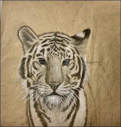 Quel est ce félin ?