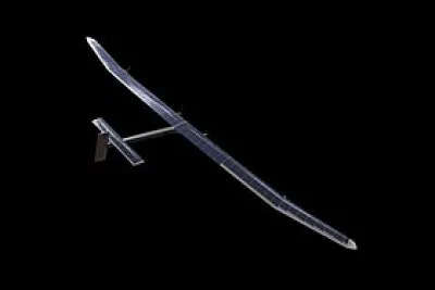 Le nom vulgaire de la bécasse était...