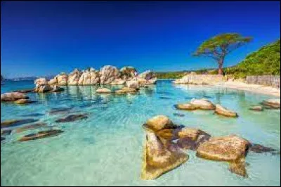 Histoire : En 1284, sous la domination de quelle ville la Corse tombe-t-elle ?