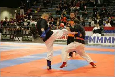 Sports et loisirs : Que signifie le terme ''kenpō'' ?