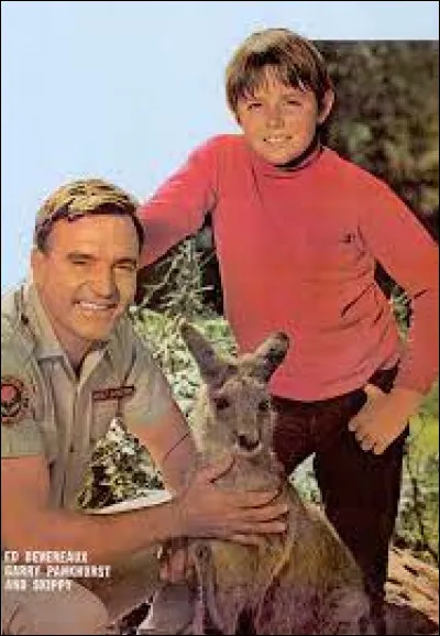 Médias et divertissements : Comment s'appelait le petit garçon ami du kangourou Skippy dans les années 60 ?