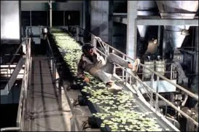 Dans le film ''Soleil vert'' qui interprète le détective Robert Thorn ?