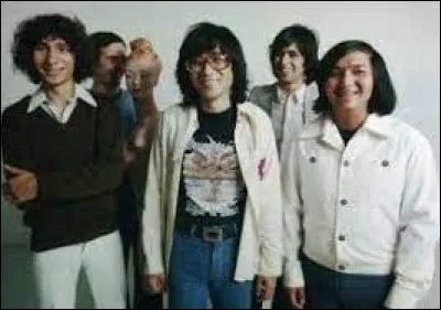 Quel est le nom du groupe qu'il rejoint en 1975 ?