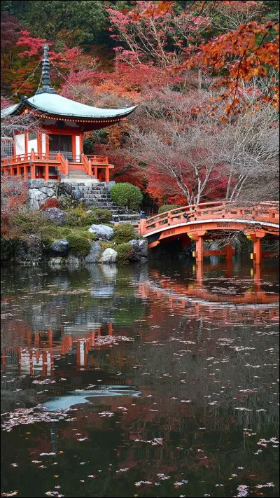 Que veut dire "yasashi" ?