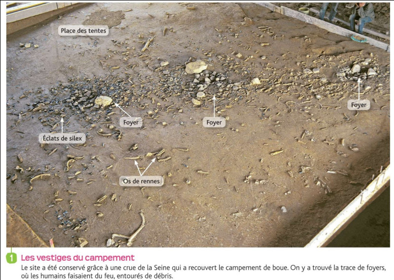 Quiz Le Campement De Pincevent Histoire
