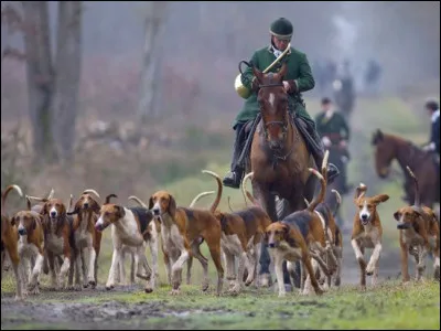 Pourquoi Pincevent est-il un bon site de chasse ?