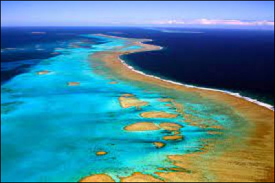 Quel pays est bordé par la Grande Barrière de la mer de Corail ?
