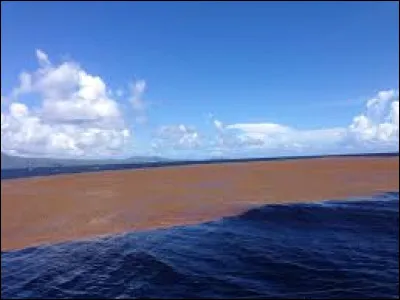 Où se trouve la mer des Sargasses ?