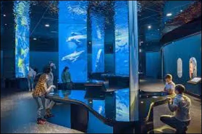 Dans quelle ville de la Manche peut-on visiter La Cité de la Mer ?