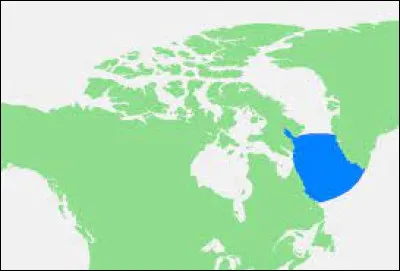 Quel nom de race de chien porte cette mer en bleu sur la carte ?