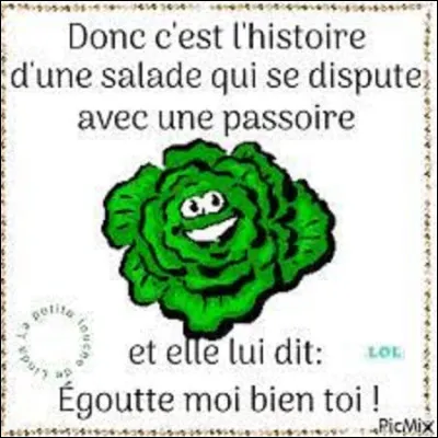 De ces trois salades, laquelle est une batavia ?