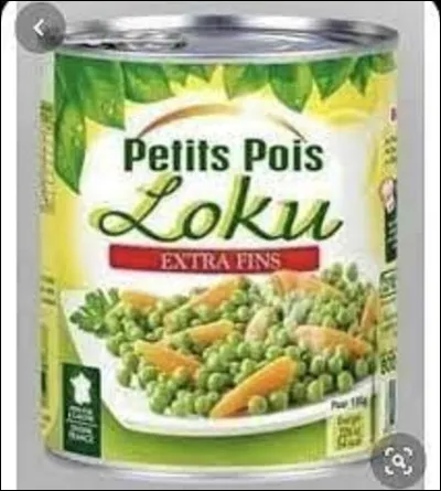 À quel romancier, conteur et dramaturge doit-on le conte ''La Princesse au petit pois'', en 1835 ?
