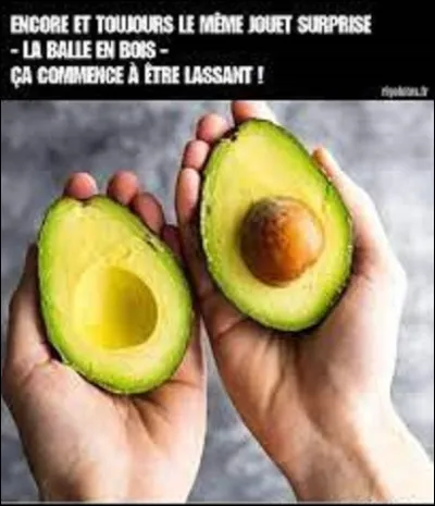 Introduit en France vers le XVIIe siècle, de quel pays d'Amérique est originaire l'avocat ?