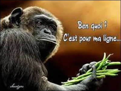 De quel pays est originaire le conte populaire ''Jack et le Haricot magique'' ?