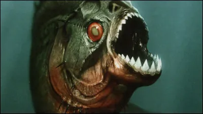 Tes amis se font dévorer par des piranhas, que fais-tu ?